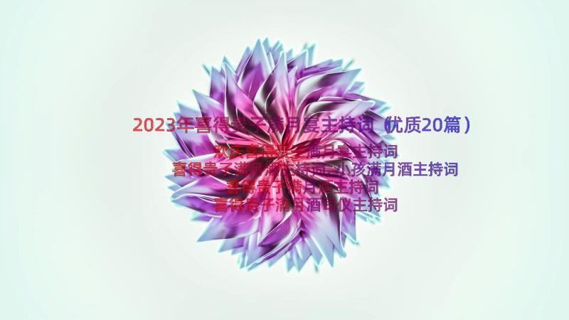 2023年喜得贵子满月宴主持词（优质20篇）