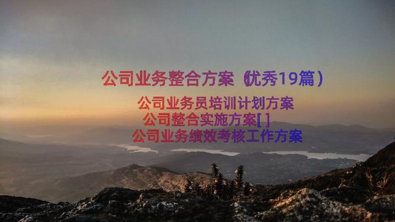 公司业务整合方案（优秀19篇）