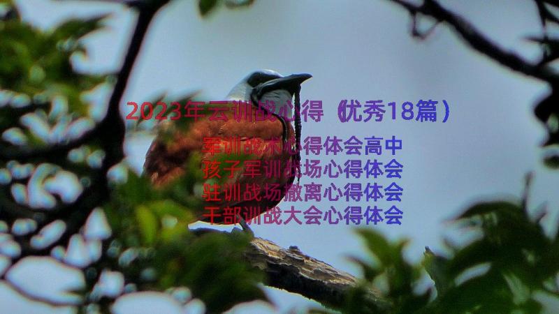 2023年云训战心得（优秀18篇）