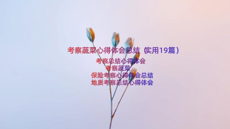 考察蔬菜心得体会总结（实用19篇）