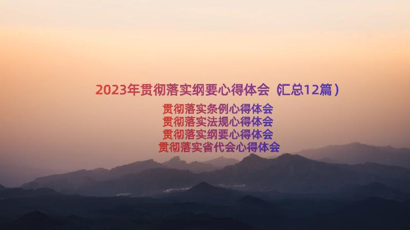 2023年贯彻落实纲要心得体会（汇总12篇）