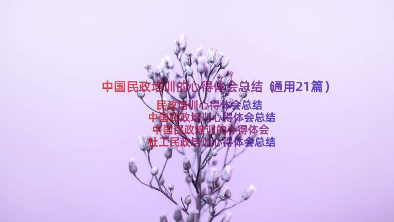 中国民政培训的心得体会总结（通用21篇）