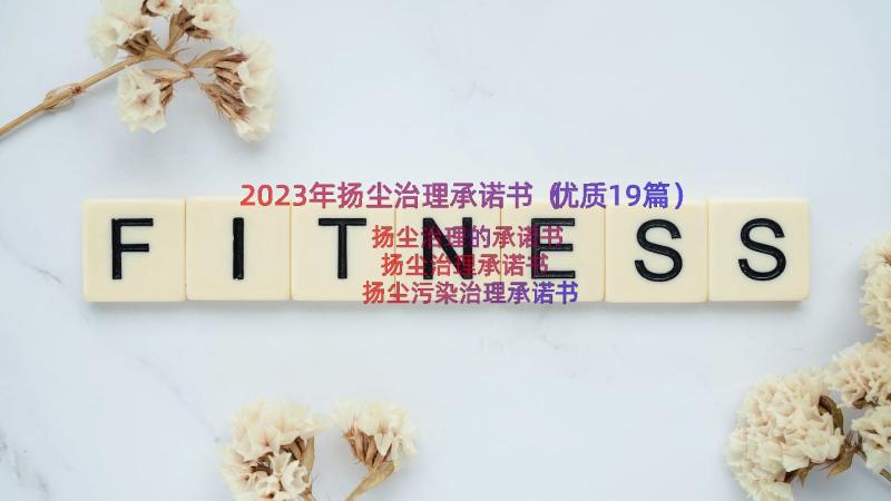 2023年扬尘治理承诺书（优质19篇）