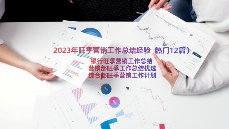 2023年旺季营销工作总结经验（热门12篇）