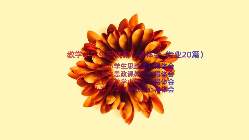 教学小学生思政课心得体会（专业20篇）