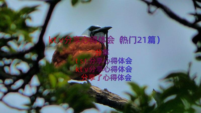 ktv分享心得体会（热门21篇）