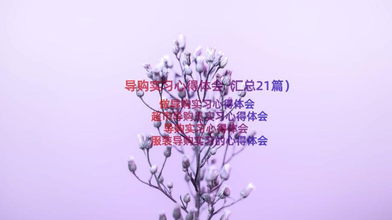 导购实习心得体会（汇总21篇）