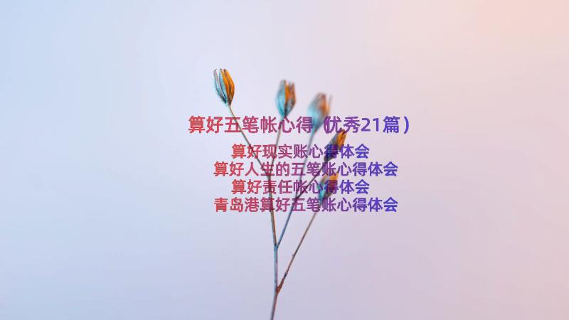 算好五笔帐心得（优秀21篇）