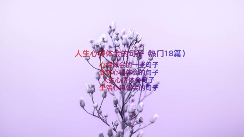 人生心得体会的句子（热门18篇）