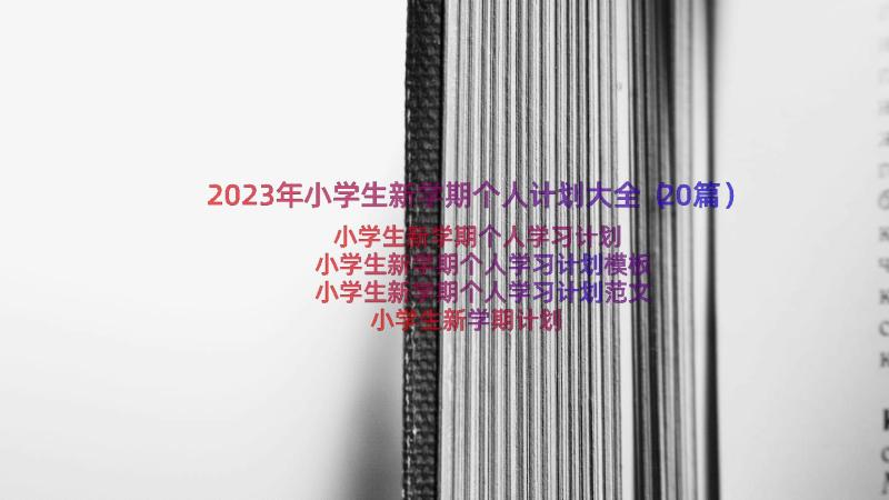 2023年小学生新学期个人计划大全（20篇）