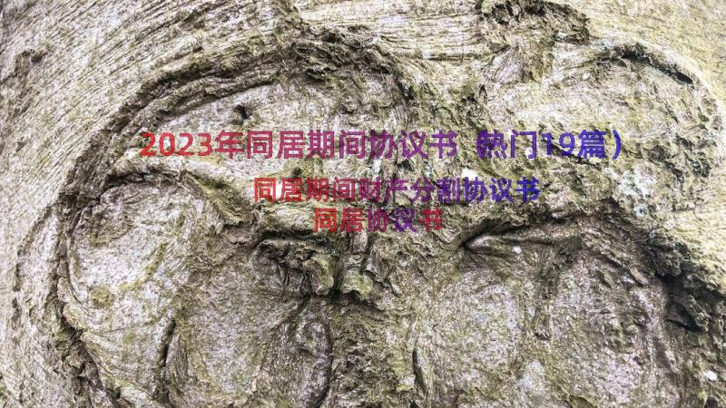 2023年同居期间协议书（热门19篇）