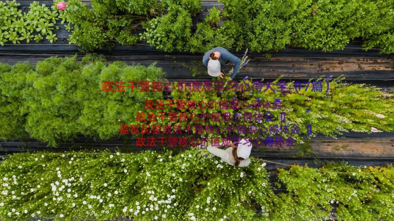 政法干警核心价值观学习心得大全（17篇）