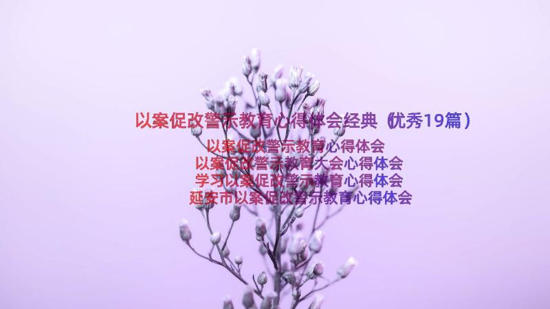 以案促改警示教育心得体会经典（优秀19篇）