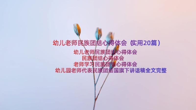 幼儿老师民族团结心得体会（实用20篇）