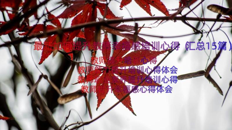 最新如何提升教师幸福感培训心得（汇总15篇）