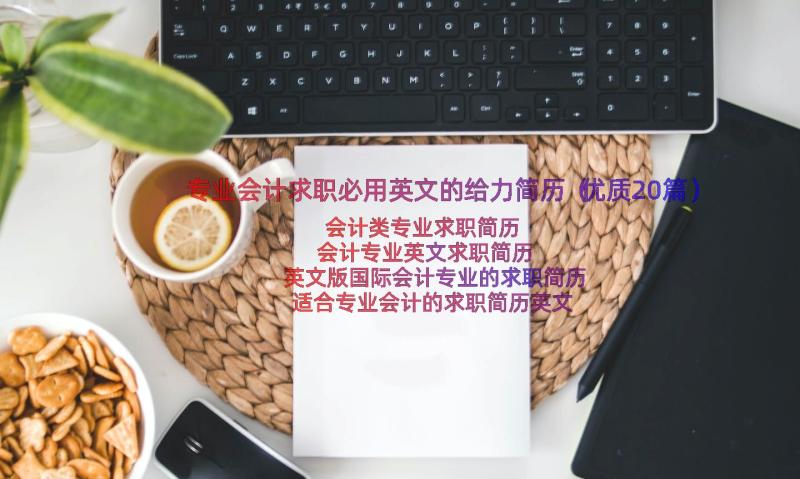 专业会计求职必用英文的给力简历（优质20篇）