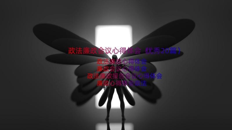 政法廉政会议心得体会（优秀20篇）