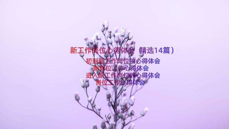 新工作岗位心得体会（精选14篇）