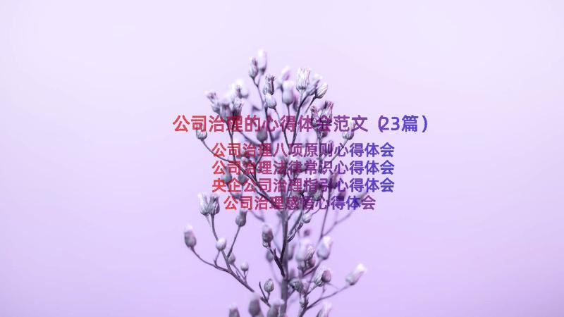 公司治理的心得体会范文（23篇）