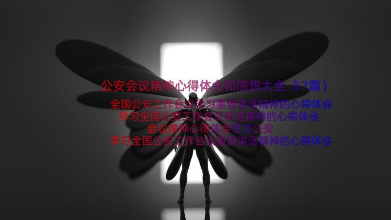 公安会议精神心得体会和感想大全（17篇）