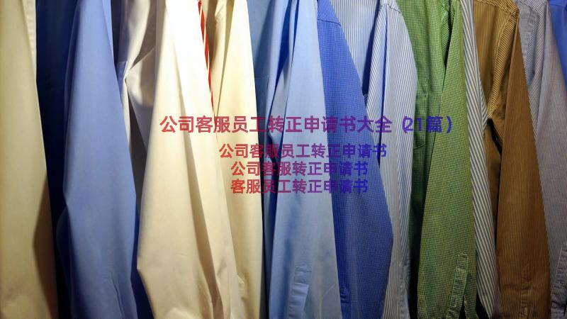 公司客服员工转正申请书大全（21篇）