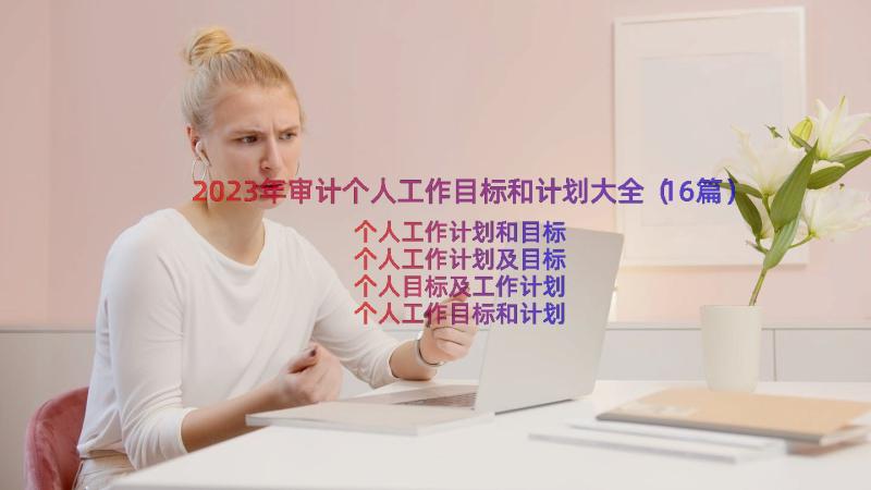 2023年审计个人工作目标和计划大全（16篇）