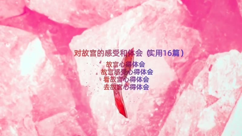 对故宫的感受和体会（实用16篇）