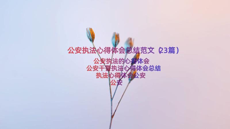 公安执法心得体会总结范文（23篇）