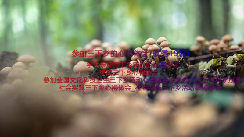 参加三下乡的心得体会（优秀15篇）