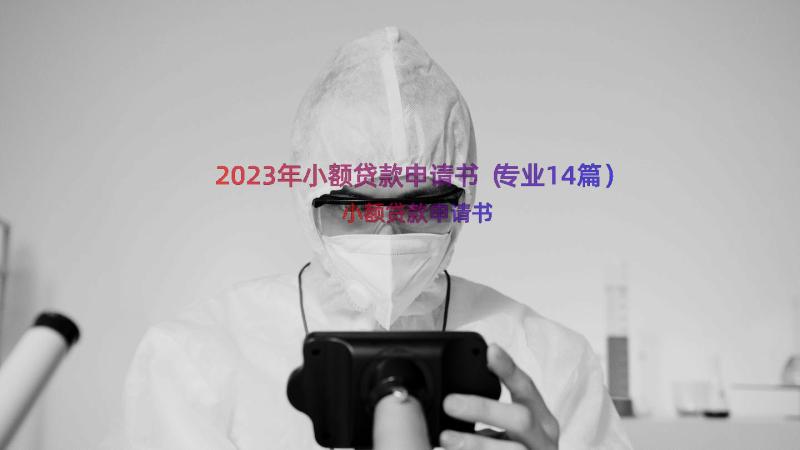 2023年小额贷款申请书（专业14篇）