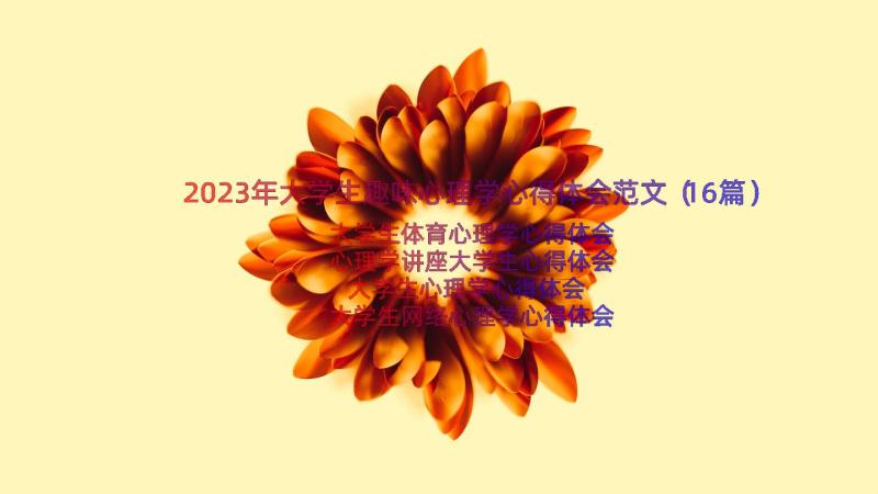 2023年大学生趣味心理学心得体会范文（16篇）