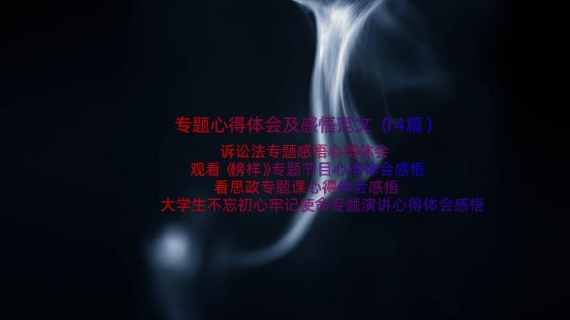 专题心得体会及感悟范文（14篇）