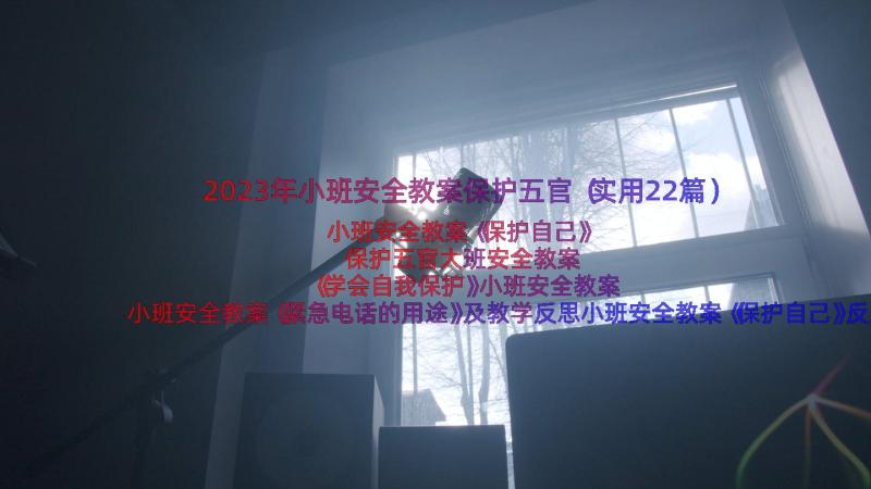 2023年小班安全教案保护五官（实用22篇）