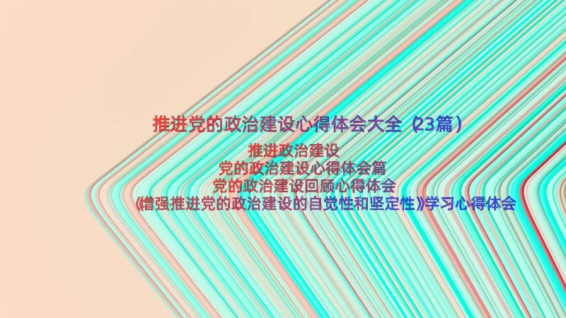 推进党的政治建设心得体会大全（23篇）