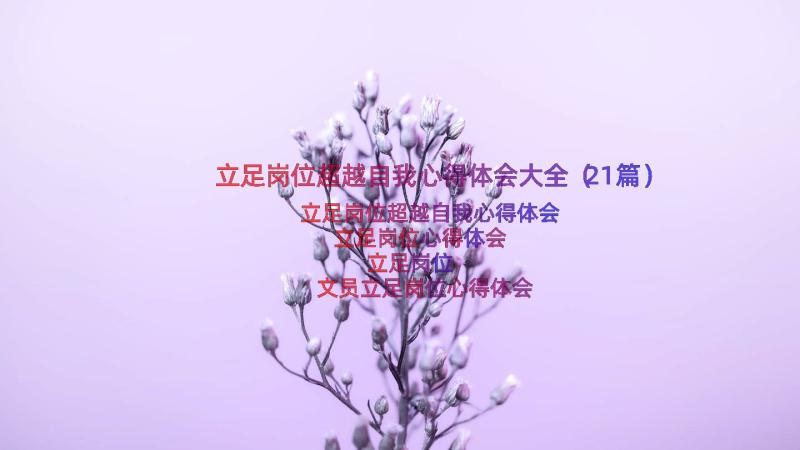 立足岗位超越自我心得体会大全（21篇）