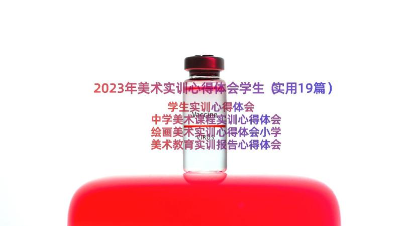 2023年美术实训心得体会学生（实用19篇）