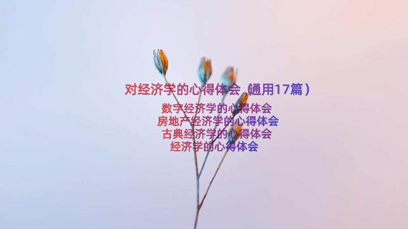 对经济学的心得体会（通用17篇）