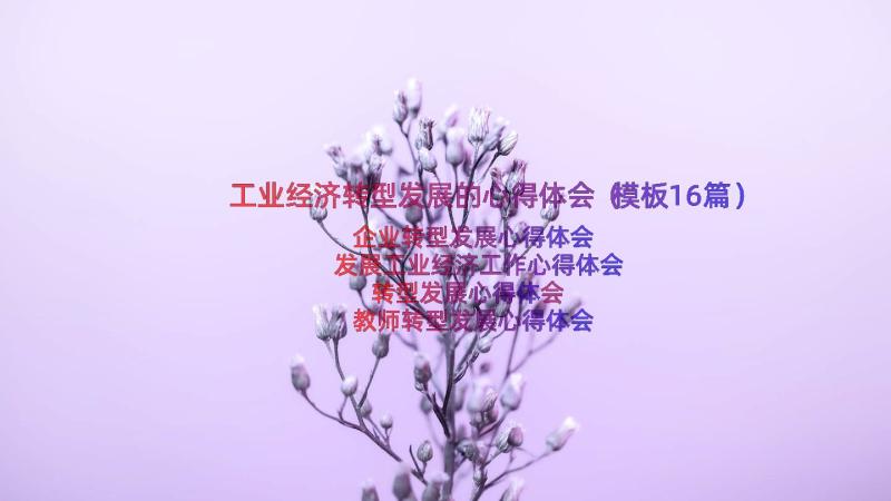 工业经济转型发展的心得体会（模板16篇）