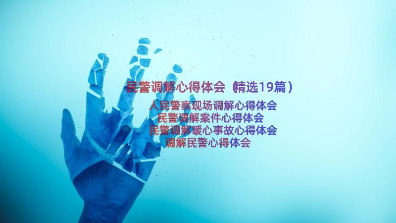 民警调解心得体会（精选19篇）