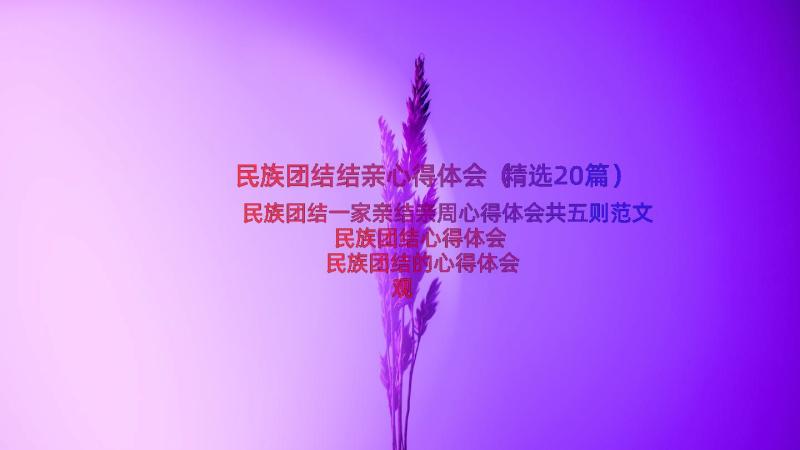 民族团结结亲心得体会（精选20篇）