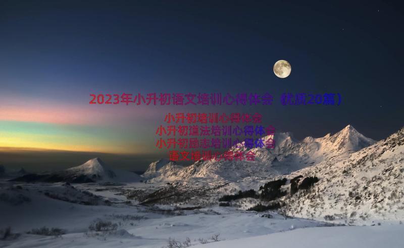 2023年小升初语文培训心得体会（优质20篇）