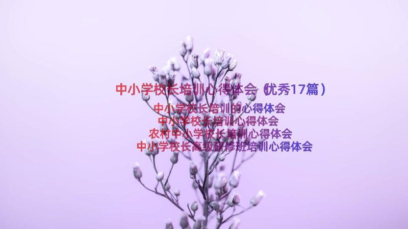 中小学校长培训心得体会（优秀17篇）