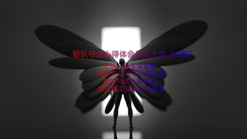 部队守法心得体会总结大全（20篇）