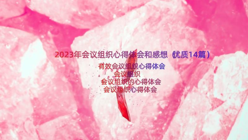 2023年会议组织心得体会和感想（优质14篇）