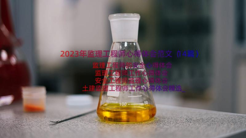 2023年监理工程师心得体会范文（14篇）