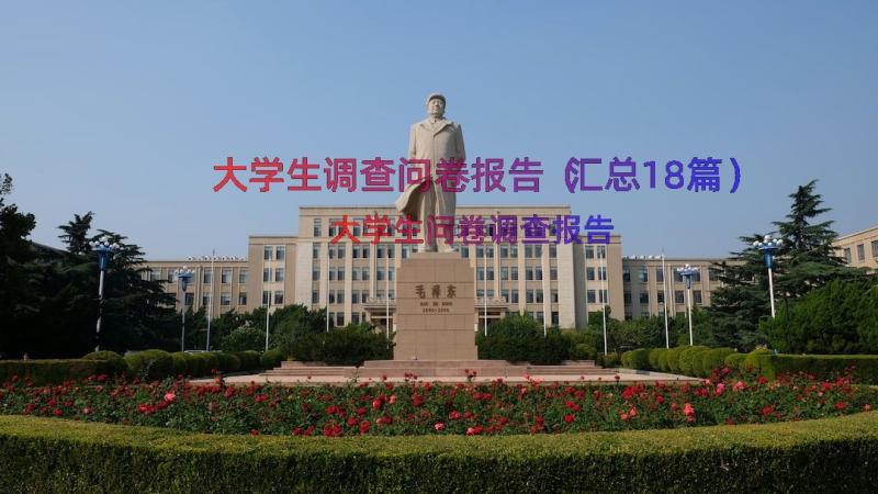 大学生调查问卷报告（汇总18篇）