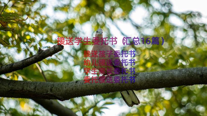 接送学生委托书（汇总16篇）