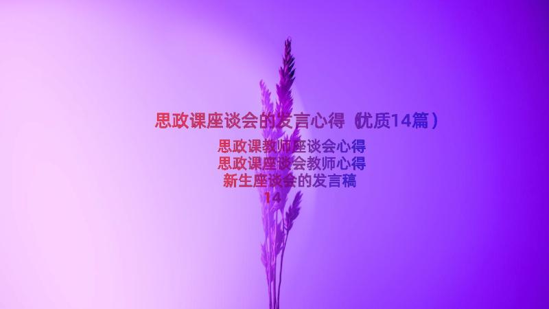 思政课座谈会的发言心得（优质14篇）