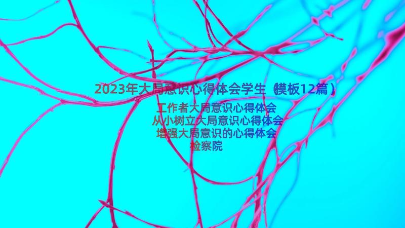 2023年大局意识心得体会学生（模板12篇）