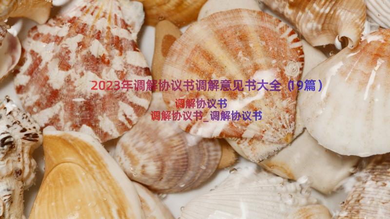 2023年调解协议书调解意见书大全（19篇）